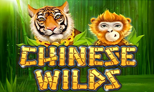 w88 ai Chinese Wilds